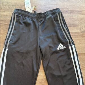 New Track Pants